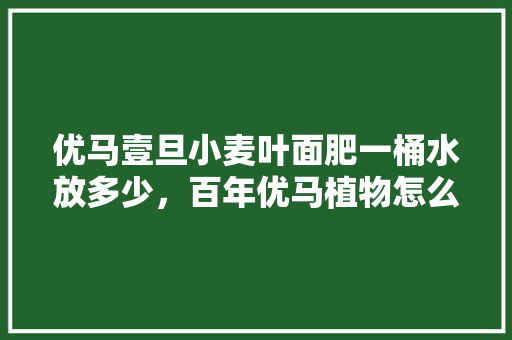 优马壹旦小麦叶面肥一桶水放多少，百年优马植物怎么养护的视频。