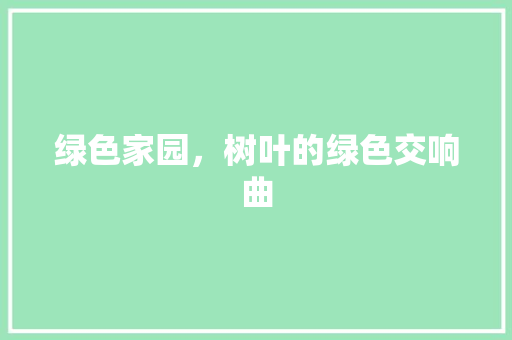 绿色家园，树叶的绿色交响曲