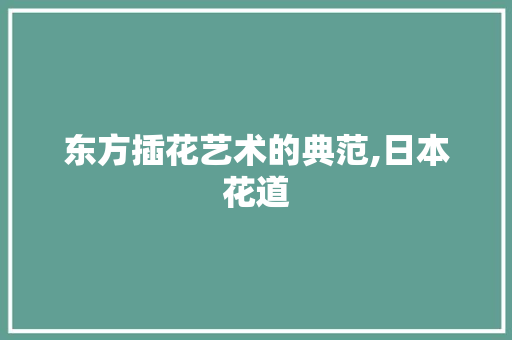 东方插花艺术的典范,日本花道 花卉