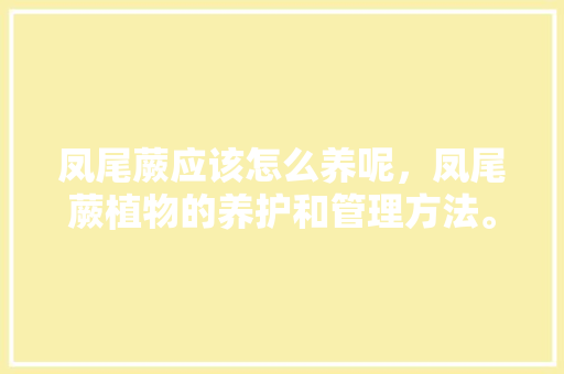 凤尾蕨应该怎么养呢，凤尾蕨植物的养护和管理方法。
