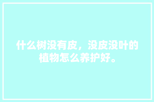 什么树没有皮，没皮没叶的植物怎么养护好。