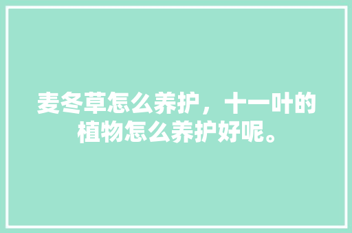 麦冬草怎么养护，十一叶的植物怎么养护好呢。