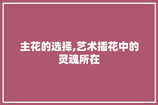 主花的选择,艺术插花中的灵魂所在 灌溉技术