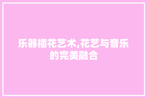 乐器插花艺术,花艺与音乐的完美融合