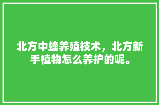 北方中蜂养殖技术，北方新手植物怎么养护的呢。  第1张 北方中蜂养殖技术，北方新手植物怎么养护的呢。 施肥方法