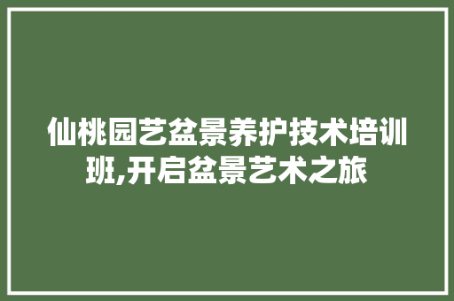 仙桃园艺盆景养护技术培训班,开启盆景艺术之旅