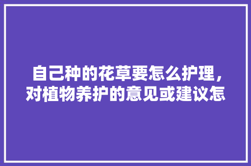 自己种的花草要怎么护理，对植物养护的意见或建议怎么写。