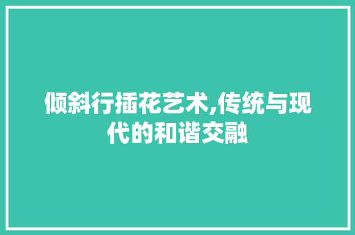 倾斜行插花艺术,传统与现代的和谐交融 土壤管理