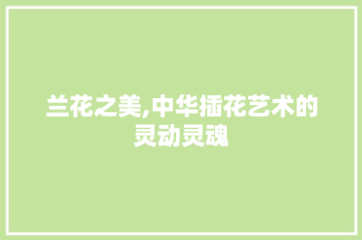 兰花之美,中华插花艺术的灵动灵魂