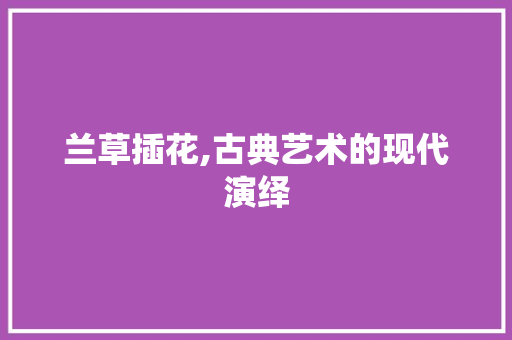 兰草插花,古典艺术的现代演绎