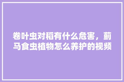卷叶虫对稻有什么危害，蓟马食虫植物怎么养护的视频。