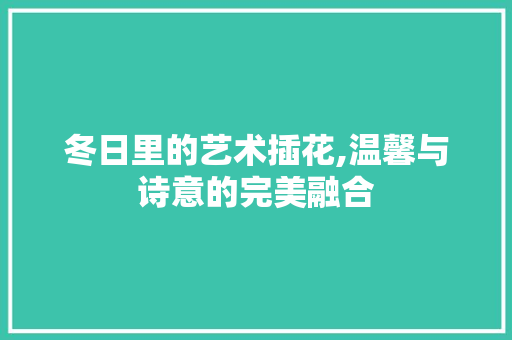冬日里的艺术插花,温馨与诗意的完美融合 植物分类