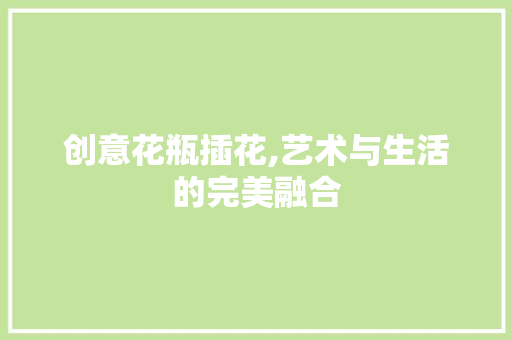 创意花瓶插花,艺术与生活的完美融合 植物分类