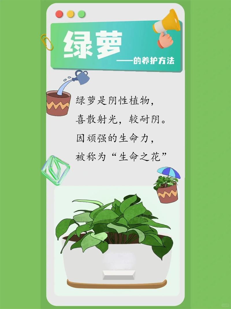 植物真的可以算作“生命”吗，纯植物养护好处的研究方法。