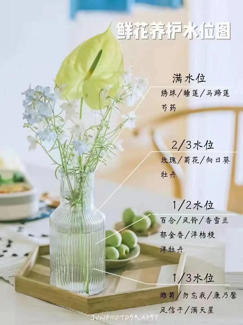 保鲜花是什么意思?是真花吗?能保鲜多久,花卉植物真花怎么养护的呢。 灌溉技术 保鲜花是什么意思?是真花吗?能保鲜多久,花卉植物真花怎么养护的呢。 第2张 保鲜花是什么意思?是真花吗?能保鲜多久,花卉植物真花怎么养护的呢。 灌溉技术