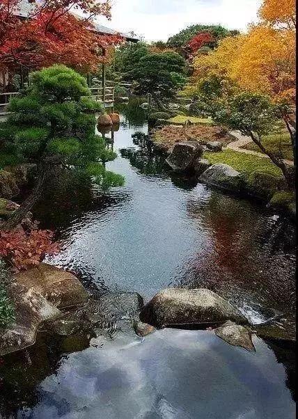 喜欢山水风景阅读摄影，想找个特别的地方做特色民宿，求建议，乐山常见的水生植物养护基地。