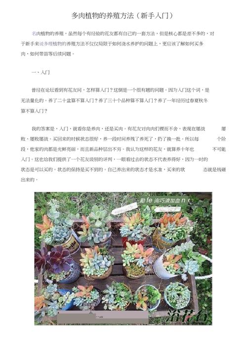 多肉剪枝后怎么处理，多肉植物修剪后的养护方法。