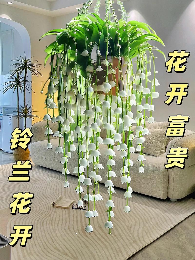 铃兰花怎么养,林兰植物的养护与管理方法。 园艺知识 铃兰花怎么养,林兰植物的养护与管理方法。 第2张 铃兰花怎么养,林兰植物的养护与管理方法。 园艺知识