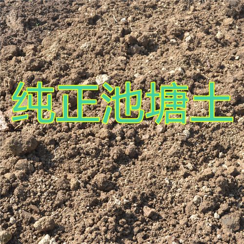 农村的丢荒的田、池塘、荒山种养什么好，泥土少的植物怎么养护好呢。