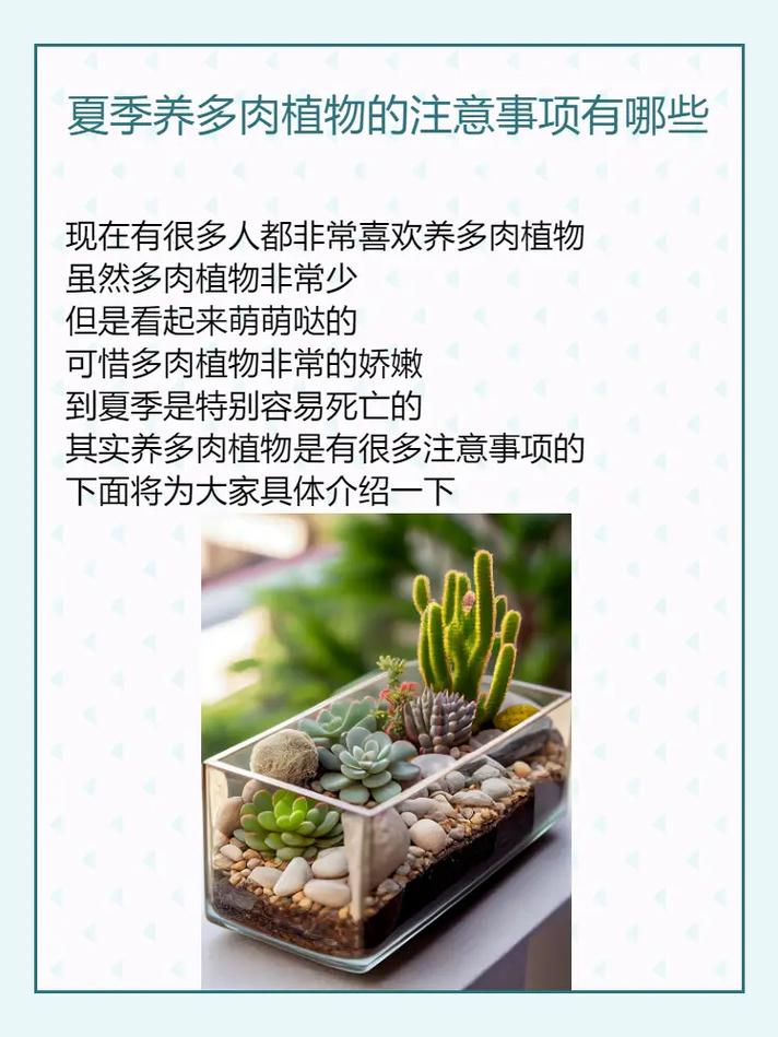 多肉植物夏天养殖方法,夏天的多肉植物怎么养护好。 施肥方法 多肉植物夏天养殖方法,夏天的多肉植物怎么养护好。 第2张 多肉植物夏天养殖方法,夏天的多肉植物怎么养护好。 施肥方法