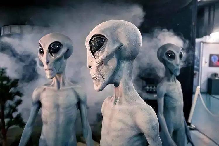 地球会有统一的一天吗，需要哪些条件，外星人植物的养护方式是什么。