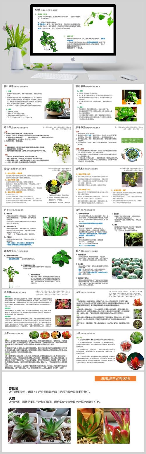 绿化养护的含义及内容,园林植物养护管理的意思是什么。 植物分类 绿化养护的含义及内容,园林植物养护管理的意思是什么。 第2张 绿化养护的含义及内容,园林植物养护管理的意思是什么。 植物分类
