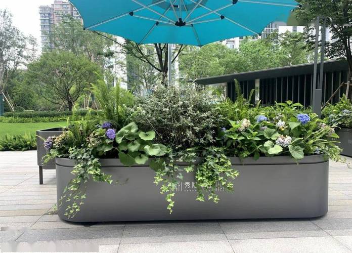 室外花箱种什么植物,室外花箱种什么植物知识,露天花箱植物怎么养护的呢。 灌溉技术 室外花箱种什么植物,室外花箱种什么植物知识,露天花箱植物怎么养护的呢。 第2张 室外花箱种什么植物,室外花箱种什么植物知识,露天花箱植物怎么养护的呢。 灌溉技术