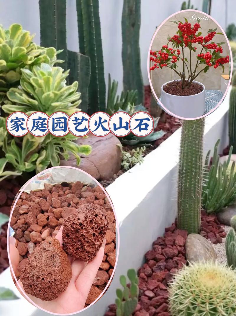 火山石花盆适合种什么,火山石上的植物怎么养护好。 灌溉方法 火山石花盆适合种什么,火山石上的植物怎么养护好。 第2张 火山石花盆适合种什么,火山石上的植物怎么养护好。 灌溉方法