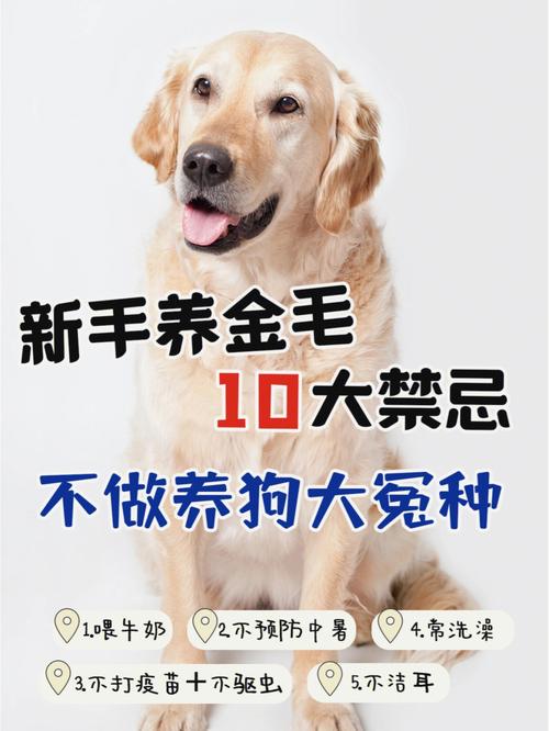 一个月金毛怎么养，金毛狗花卉植物的养护方法。