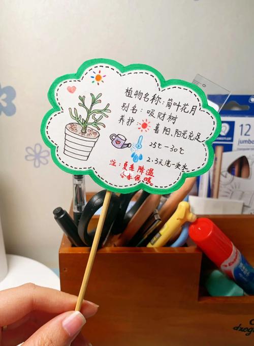 植物卡怎么做，植物绿植养护卡怎么做的图片。