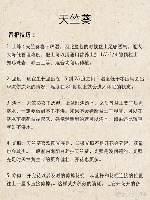 天竺葵的正确养殖方法,天竺葵植物的养护和管理方法。 施肥方法 天竺葵的正确养殖方法,天竺葵植物的养护和管理方法。 第2张 天竺葵的正确养殖方法,天竺葵植物的养护和管理方法。 施肥方法