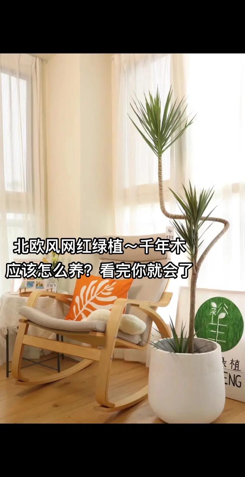 不怕晒的木本植物,暴晒的木本植物怎么养护好。 养护技巧 不怕晒的木本植物,暴晒的木本植物怎么养护好。 第2张 不怕晒的木本植物,暴晒的木本植物怎么养护好。 养护技巧