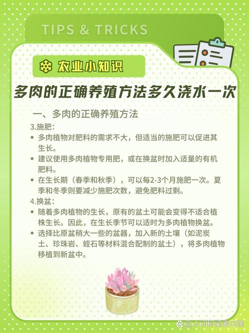冬天怎么养护多肉，多肉植物的冬天如何养护和浇水。  第2张 冬天怎么养护多肉，多肉植物的冬天如何养护和浇水。 植物分类