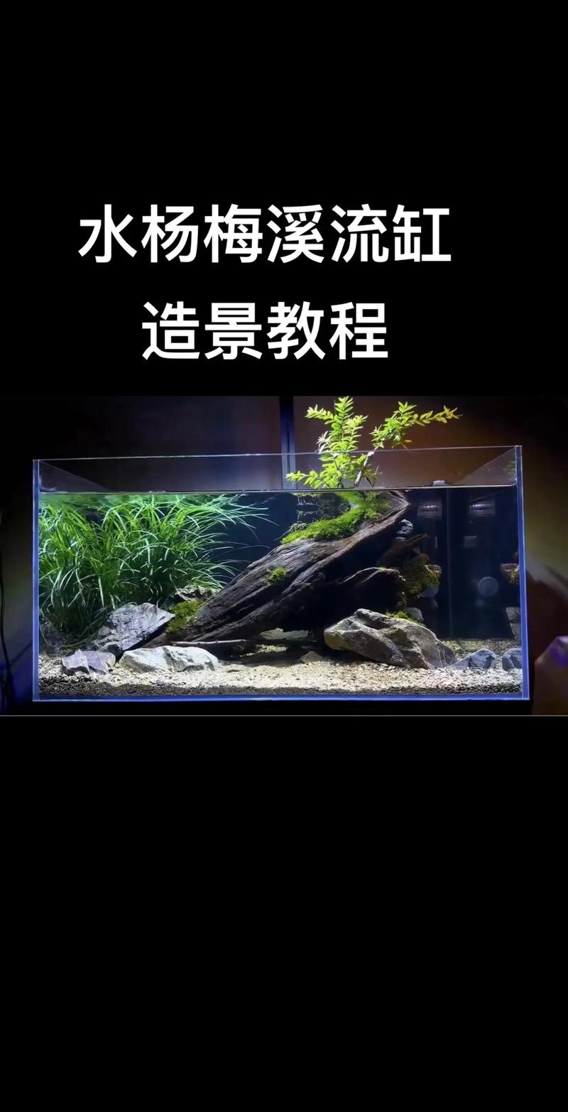 造景缸如何保持水质,喜湿造景植物怎么养护的好。 施肥方法 造景缸如何保持水质,喜湿造景植物怎么养护的好。 第2张 造景缸如何保持水质,喜湿造景植物怎么养护的好。 施肥方法