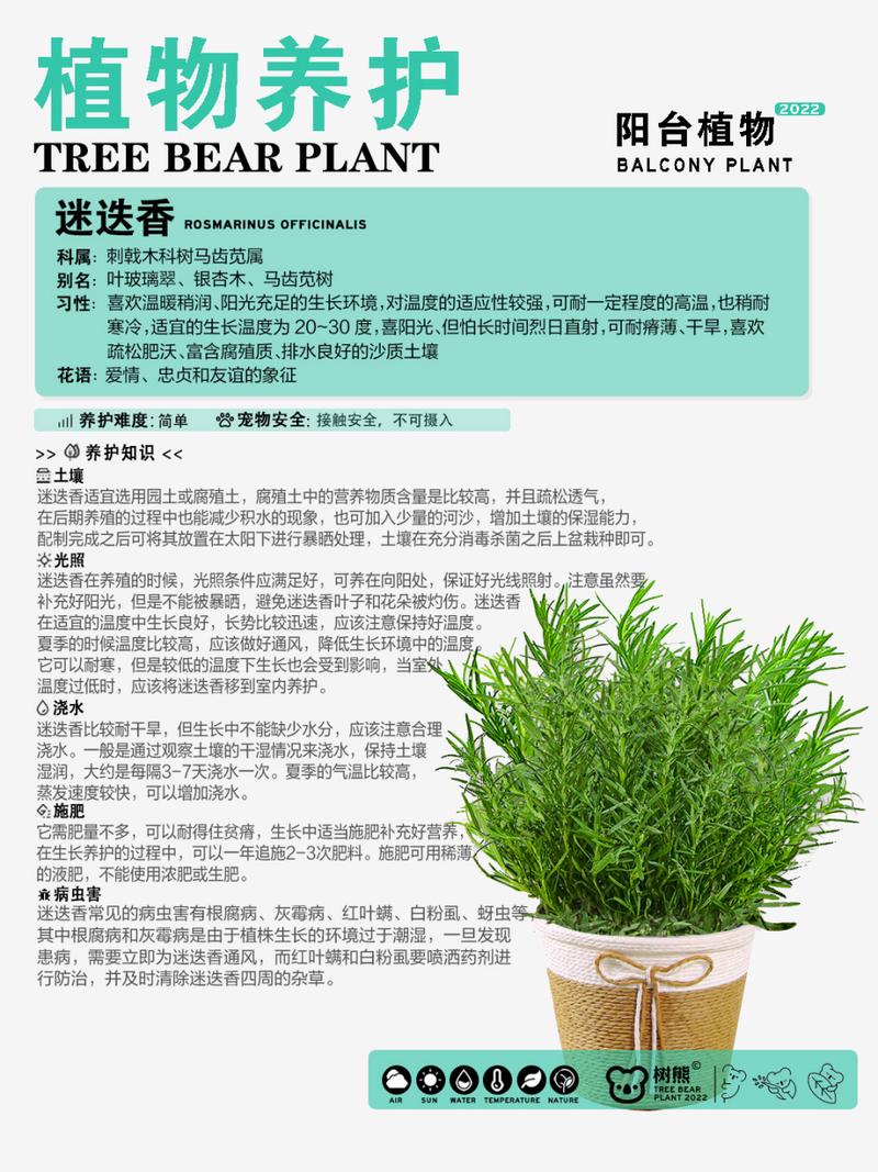 家庭栽花多久施肥一次比较合理,有娃家庭的植物怎么养护好。 观叶植物 家庭栽花多久施肥一次比较合理,有娃家庭的植物怎么养护好。 第2张 家庭栽花多久施肥一次比较合理,有娃家庭的植物怎么养护好。 观叶植物