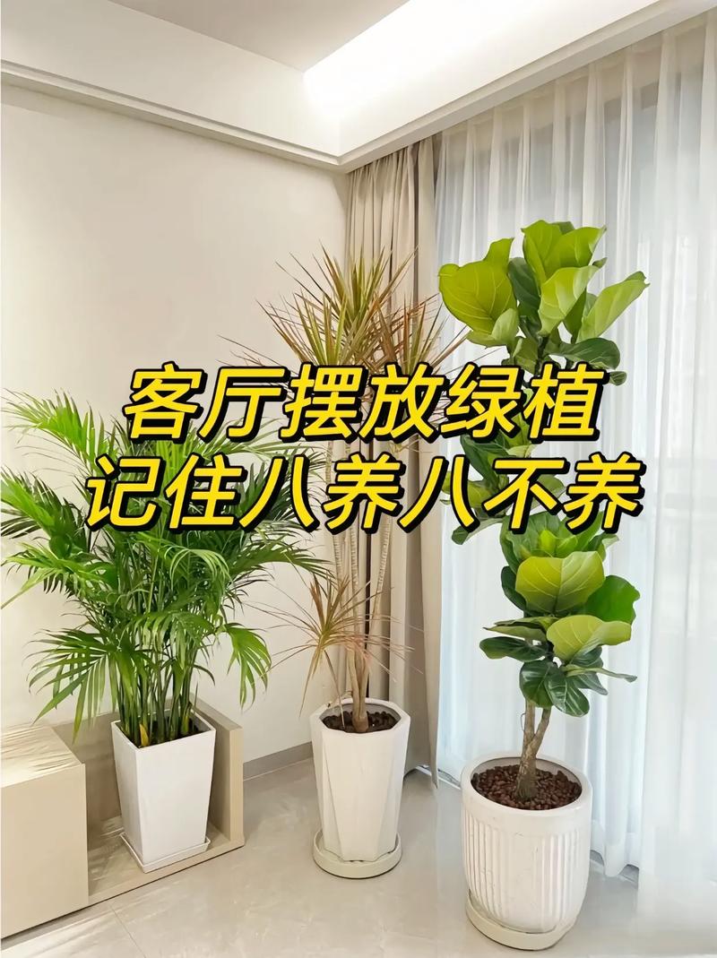 新房装修后,应该放些什么植物呢?为什么,刚装修好的植物怎么养护好。 植物分类 新房装修后,应该放些什么植物呢?为什么,刚装修好的植物怎么养护好。 第2张 新房装修后,应该放些什么植物呢?为什么,刚装修好的植物怎么养护好。 植物分类