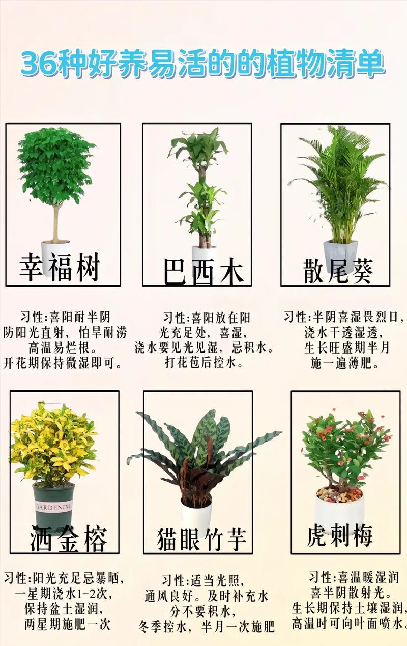 室内种什么绿植好,你们都是怎么种的,室内植物养护知识 技巧。 土壤选择 室内种什么绿植好,你们都是怎么种的,室内植物养护知识 技巧。 第2张 室内种什么绿植好,你们都是怎么种的,室内植物养护知识 技巧。 土壤选择
