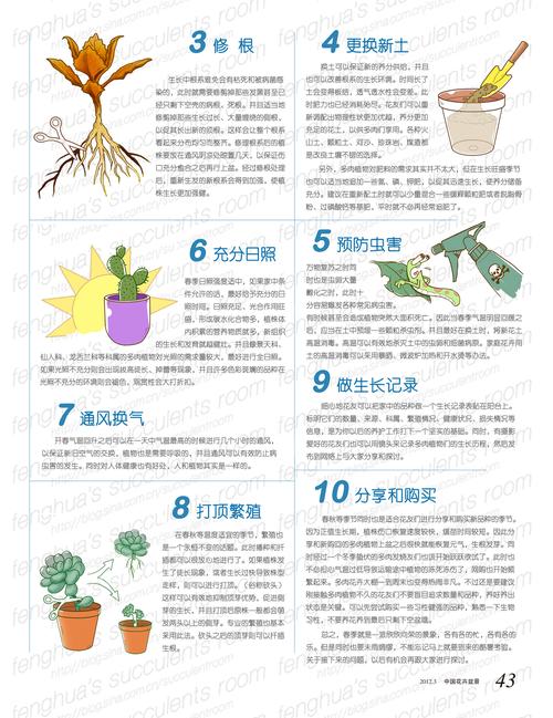 有没有关于绿植养护知识的公众号推荐，植物的养护设计图怎么画的。
