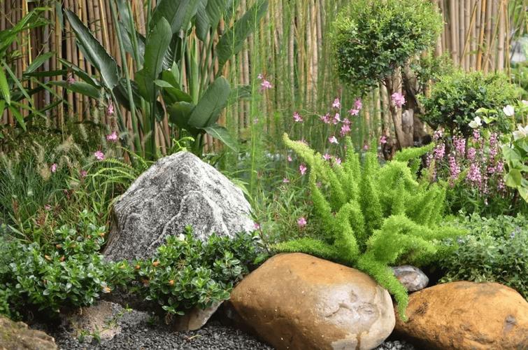 院子里种啥绿植物好（花园洋房的院子），容易养护的花园植物图片大全。