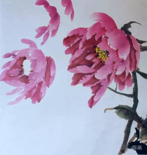 牡丹类的国画作品，为何广受人们喜爱，紫牡丹养护方法。