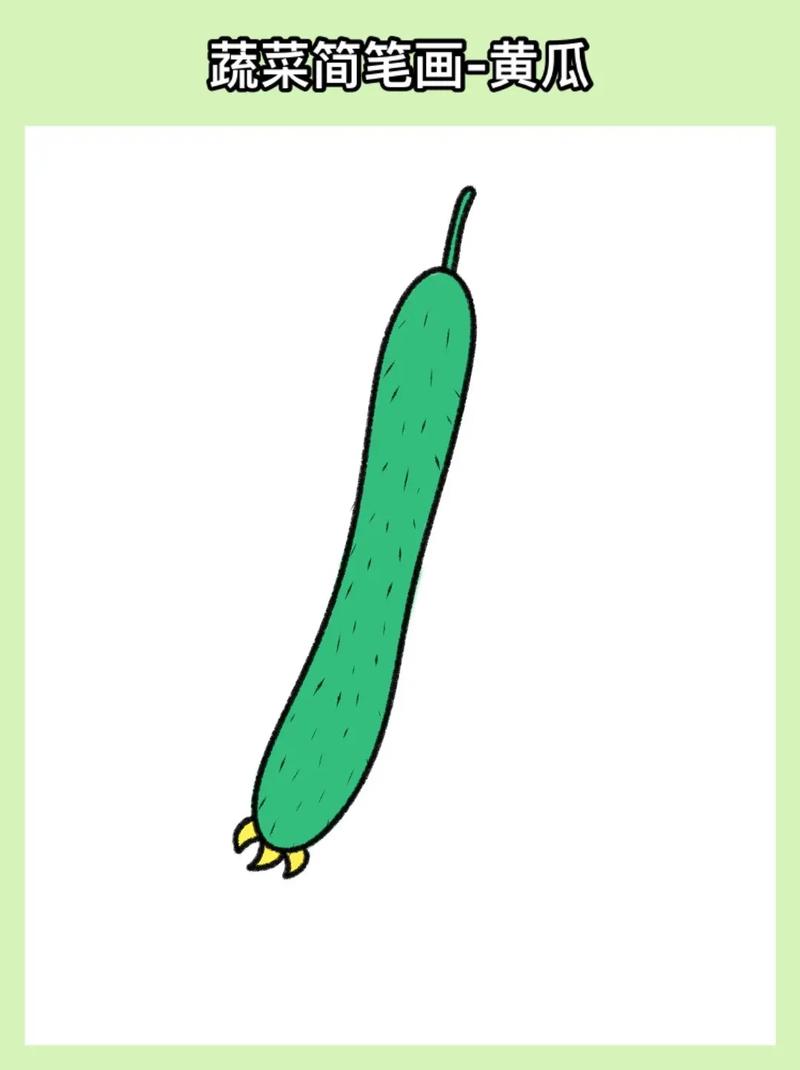 少儿蔬菜简笔画黄瓜怎么画,养护植物的儿童画怎么画好看。 施肥方法 少儿蔬菜简笔画黄瓜怎么画,养护植物的儿童画怎么画好看。 第2张 少儿蔬菜简笔画黄瓜怎么画,养护植物的儿童画怎么画好看。 施肥方法